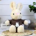 Cute plush rabbit toy with brown knit sweater, soft stuffed animal doll for kids gifts. - Khaki Rabbit (Coffee) / 30cm