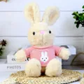 Cute plush rabbit toy with a pink knitted sweater, soft stuffed doll gift for kids and girls. - Khaki Rabbit (Pink) / 30cm