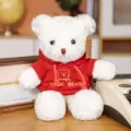 Primer plano detallado de lindo oso de peluche blanco con sudadera con capucha roja - Oso blanco con sudadera roja / 30cm