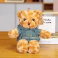 Detailed view of a cute brown plush teddy bear wearing a stylish dark green hooded sweatshirt. - Brown Bear in Green Hoodie