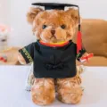 Graduation teddy bear plush toy detail shot, wearing bachelor gown and cap with cute face. - 30cm / Brown Bear with Red Collar & Red Tassel