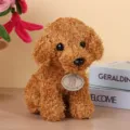 Marrón rizado peluche caniche perro animal de peluche lindo cachorro regalo para niños. - Café / 20cm