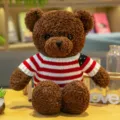 Primer plano detallado del adorable oso de peluche marrón con su acogedor suéter de punto. - 30cm Bolsa de Ventana Blanca + Cadena de Luces / Bandera nacional de alga marrón
