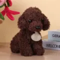 Lindo poodle marrón peluche muñeca simulación cachorro animal de peluche regalo para los niños. - Café Oscuro / 20cm
