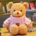 Detalle de tierno oso de peluche con sudadera con capucha rosa, suave juguete decorativo. - Sudadera con capucha de alga rosa