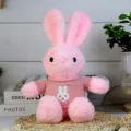 Cute pink plush rabbit toy wearing a knitted sweater, soft stuffed animal gift for kids. - Pink Rabbit in Pink Clothes / 30cm
