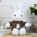 Cute dressed rabbit plush toy with brown sweater, soft stuffed doll gift for kids girls. - White Rabbit in Coffee Brown / 30cm