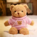 Tierno oso de peluche con sudadera rosa con capucha, regalo suave y acogedor para niños. - Rosa / 30cm