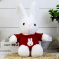 Vista detallada y cercana de un tierno conejito de peluche blanco con jersey rojo. - Conejo blanco con ropa roja / 30cm