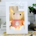 Lindo peluche de conejo vestido con bolsa de regalo y luces LED, regalo perfecto para niños y niñas. - Caja de regalo de conejo blanco con ropa rosa / 30cm