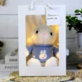 Cute dressed rabbit plush toy stuffed doll gift in window gift bag with warm fairy lights. - White Rabbit in Blue Clothes Gift Box / 30cm
