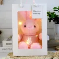 Pink plush rabbit toy cute stuffed bunny doll with knitted sweater and gift box lighting. - Pink Rabbit in Pink Clothes Gift Box / 30cm