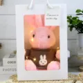 Cute pink plush rabbit toy with brown sweater in white gift bag with warm string lights. - Pink Rabbit (Coffee) Gift Box / 30cm