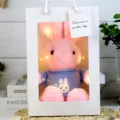 Cute plush rabbit toy with blue sweater in gift bag, soft stuffed animal doll gift. - Pink Rabbit (Blue) Gift Box / 30cm