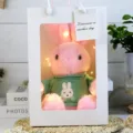 A cute plush rabbit toy in gift bag with fairy lights and green sweater for kids. - Pink Rabbit in Green Clothes Gift Box / 30cm