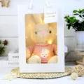 Dressed rabbit plush toy cute stuffed animal doll with gift bag and warm LED string lights. - Khaki Rabbit (Pink) Gift Box / 30cm
