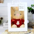 Cute dressed bunny plush toy stuffed animal in window gift bag with lights for kids gifts. - Khaki Rabbit in Red Clothes Gift Box / 30cm