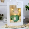 Cute dressed plush rabbit toy in gift bag with green sweater and warm fairy lights decor. - Khaki Rabbit Green Gift Box / 30cm