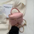 Rosa gesteppte Kosmetiktasche, schicke Mini-Box-Handtasche mit goldener Kette für Damen. - L / Rosa