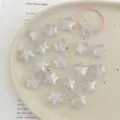 Acryl Glitzer Stern Perlen und Haargummi Set für DIY handgemachte Schmuckherstellung. - Weiß