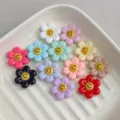 Bunte Harz Smiley Blumen Anhänger, süße DIY Schmuckherstellung und Haarklammer Zubehör. - Zufällige Mischfarben