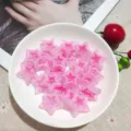 Perline in acrilico rosa a stella con fori verticali per gioielli fai da te e collane accessori. - Rosa Brillante