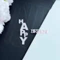Set de topper de gâteau Happy Birthday en acrylique, lettres déco minimalistes. - Rose