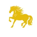 Golden prancing horse acrylic cake topper for Year of the Horse party New Year decor. - Acrylic Gold Horse (2) / Approximately 10.5cm Wide