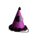Purple glitter birthday hat with plush trim and party design for kids and adults celebration. - Glitter Purple / 16*18CM