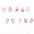 Rose aquarelle papillon gâteau topper acrylique transparent fête d'anniversaire décoration - Papillon (Ensemble de 10 Pièces) / Acrylique de 1.3mm d'Épaisseur