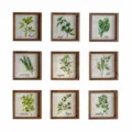 American country style 9-piece botanical wall art set with wooden frames, 20.5x20.5x4cm. - Nine-Grid Plant Specimen Painting(A2294) / 9 Pieces/Set
