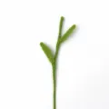 Green felt leaf stem DIY accessory, perfect for handmade flower bouquet craft decor. - Upper & Lower Leaves / Green