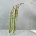 Artificial foxtail hanging green plant vine detail view, perfect for indoor wall decor. - Red and Green