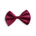 Burgunderrote Haustier Fliege Halsband für Hunde und Katzen, elegantes Satin Accessoire. - Burgunderrot