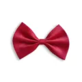 Rote Haustier Fliege Variante, klassisches Satin Schleifen Accessoire für Hunde und Katzen. - Rot