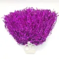 Lila Cheerleading Pompons mit weißem Ringgriff Tanz Party Sport Cheer Spirit Zubehör - Doppelring 20g / Fuchsia