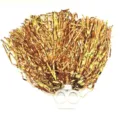 Goldene Cheerleader Pompoms mit weißem Griff, glänzende Metallic Folie für Tanz. - Doppelring 20g / Gold