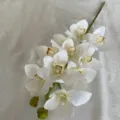 Artificial white orchid flower stem silk fabric fake floral home wedding decor 10 heads - Cream