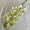 10-head artificial silk orchid flower white green phalaenopsis for home and wedding decor - Light Green