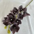 Tige d'orchidée artificielle 10 têtes en soie violet foncé pour mariage et maison - Café Foncé