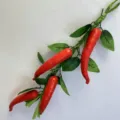 Artificial red chili pepper string decoration for farmhouse kitchen and restaurant. - Red Chili with Leaves