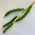 Artificial green cucumber hanging string model for farmhouse restaurant home decor simulation prop. - Cucumber