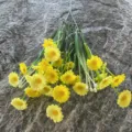 Künstliche kleine Gänseblümchen Blumenstrauß gelb DIY Heimdekoration Party Zubehör Kunstblumen - Gelb