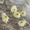 Branche de fleur de marguerite PU artificielle plante de simulation pour la maison et mariage. - Taille 10