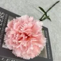 Close-up detail of artificial pink carnation flower with green stem, photography prop. - Flesh Pink