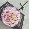 Detailed shot of artificial carnation flower with purple edge, perfect for home decor. - Purple