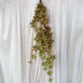 Artificial hanging plant vine variant, decorative green foliage for interior wall decor. - Patterned Green