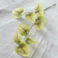 Plastiko kladio monstera me kokkines fleves kai prasina fyla gia diakosmisi spitiou. - Σμαραγδί