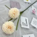 Artificial snowball flower 2-head silk flowers Nordic home decor bouquet centerpiece - Champagne