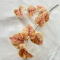 Τεχνητό κλαδί φύλλων Monstera με ποικιλομορφία για διακόσμηση σπιτιού εσωτερικού χώρου - Κόκκινη Τελεία